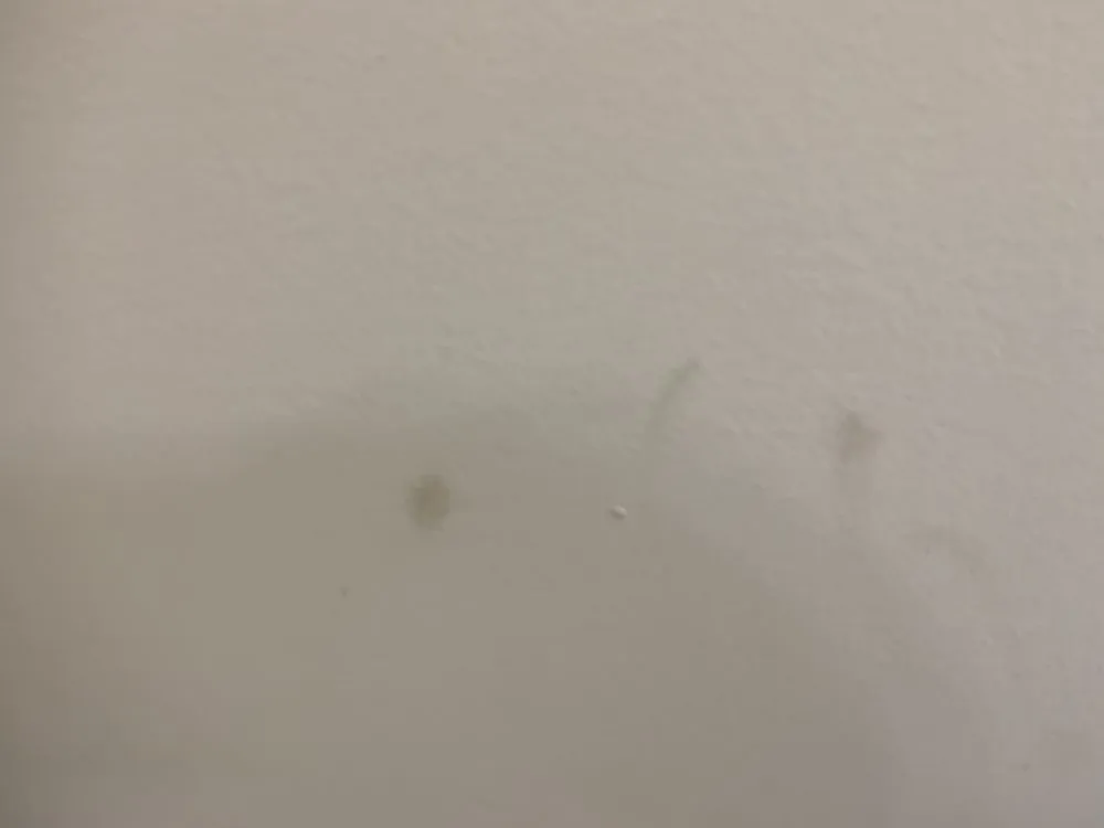 Slide of All American Plumbing