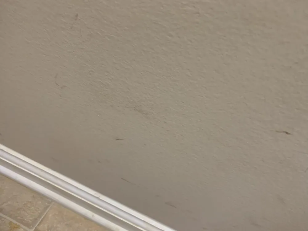 Slide of All American Plumbing