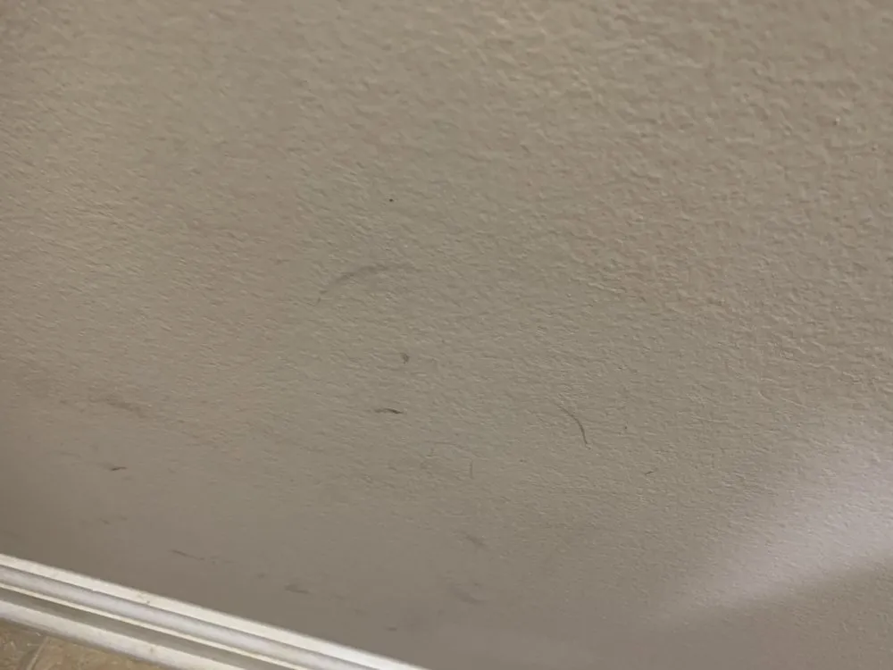 Slide of All American Plumbing