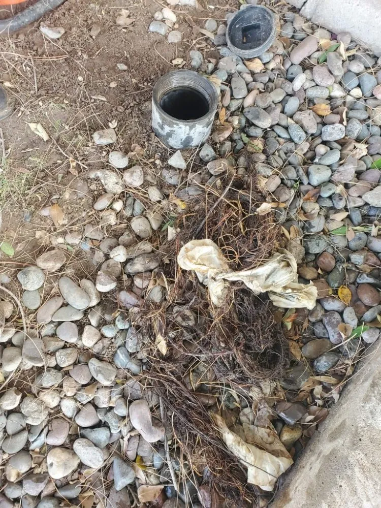 Slide of All American Plumbing