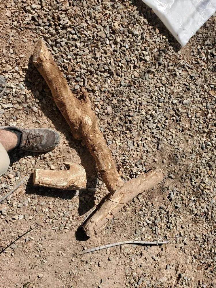 Slide of All American Plumbing