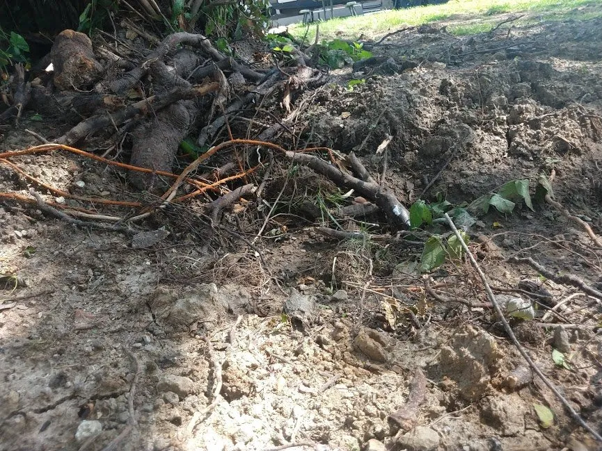 Slide of All American Pumping & Drain