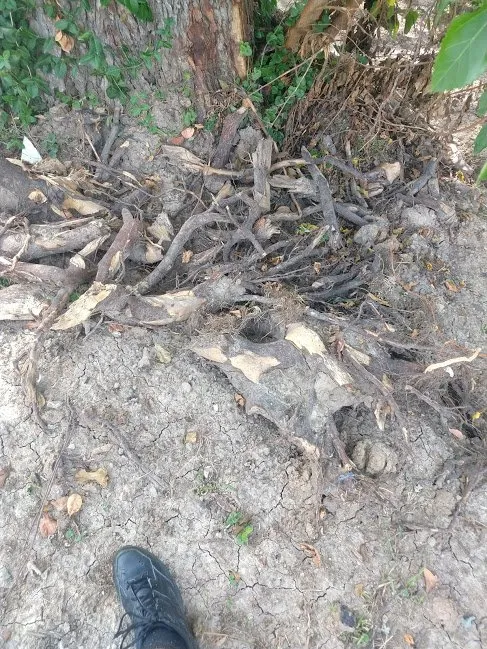 Slide of All American Pumping & Drain