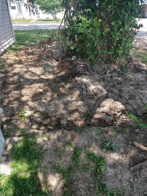 Slide of All American Pumping & Drain