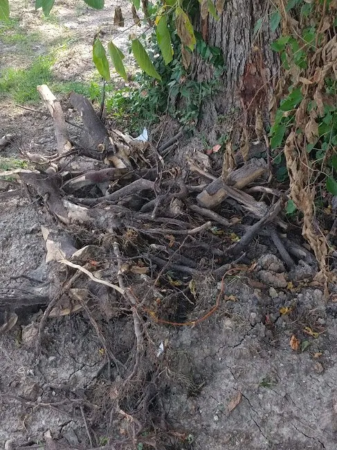 Slide of All American Pumping & Drain