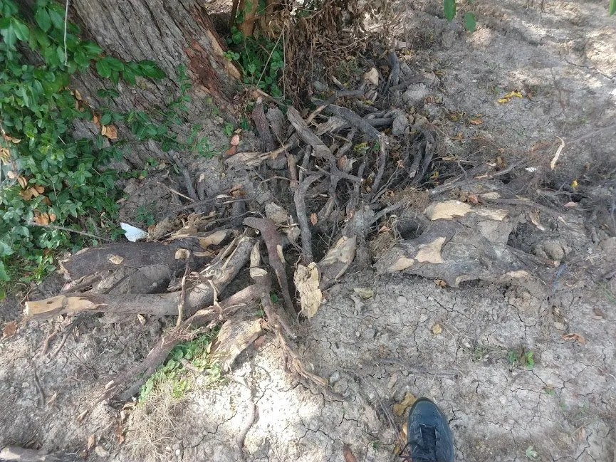 Slide of All American Pumping & Drain