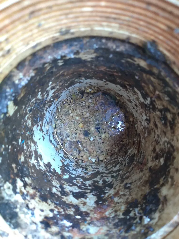 Slide of All Atlanta Service