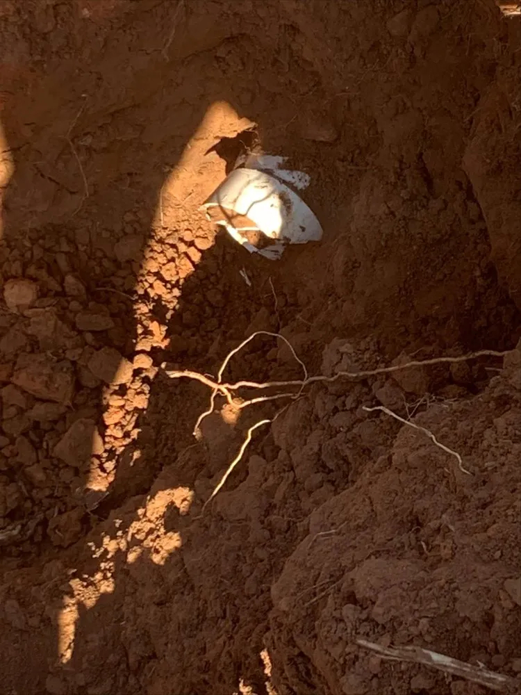 Slide of All Care Plumbing Services