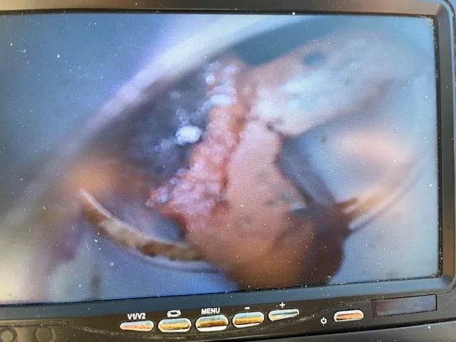 Slide of All Care Plumbing Services