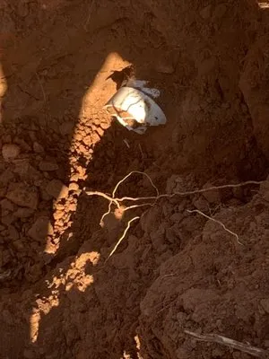 All Care Plumbing Services Logo