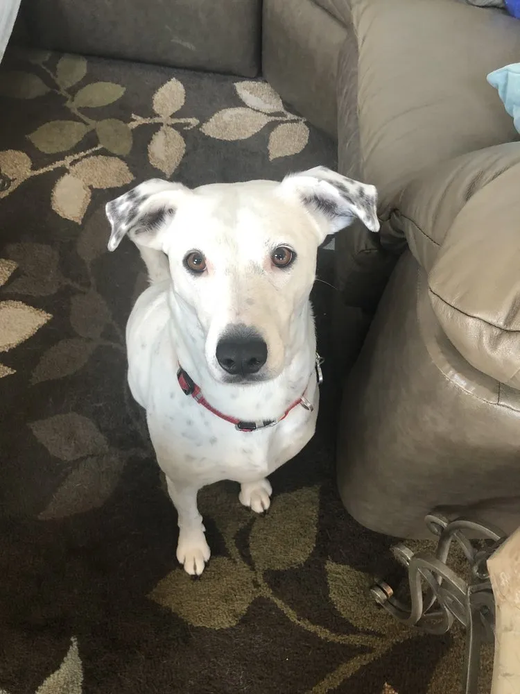 Slide of All City Plumbing