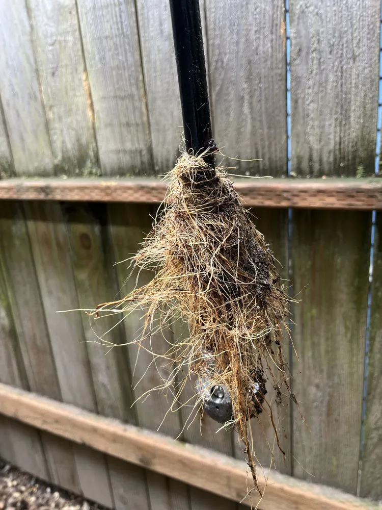 Slide of All City Sewer Repair