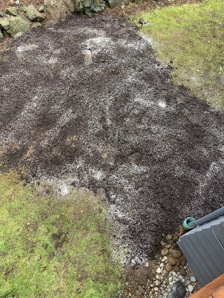 Slide of All City Sewer Repair