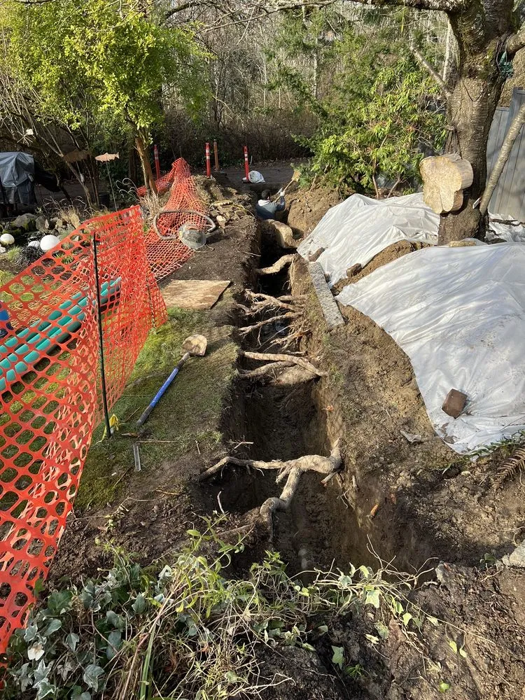 Slide of All City Sewer Repair