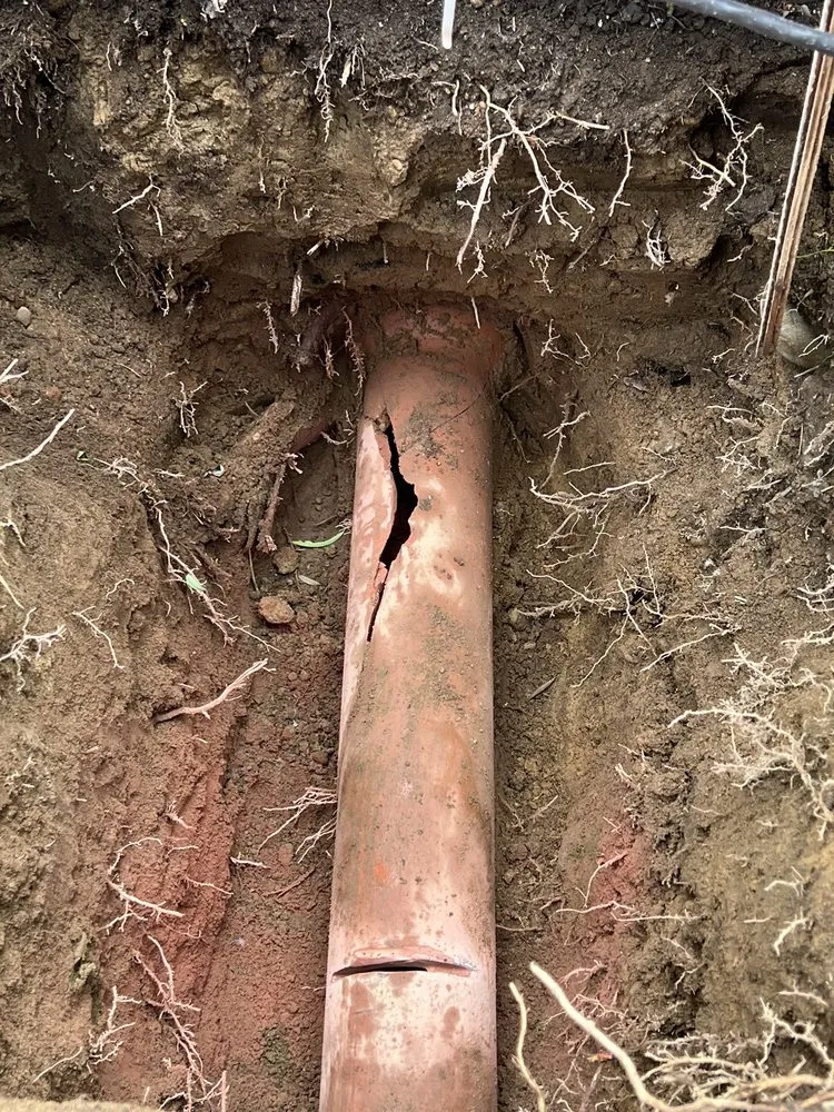 Slide of All City Sewer Repair