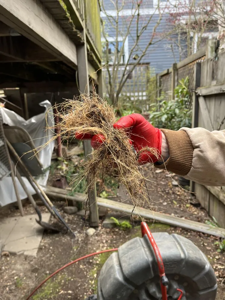 Slide of All City Sewer Repair