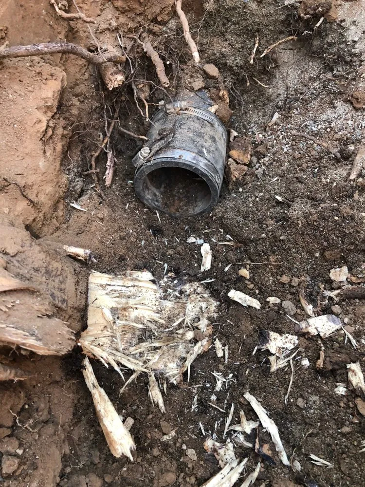 Slide of All clean sewer & plumbing