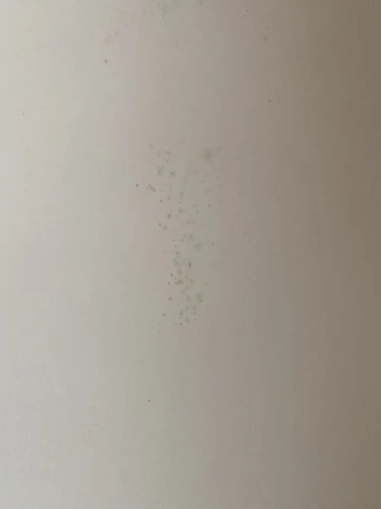 Slide of All Clear Plumbing & Drain Service