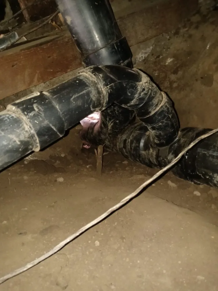 Slide of All Clear Sewer & Drain