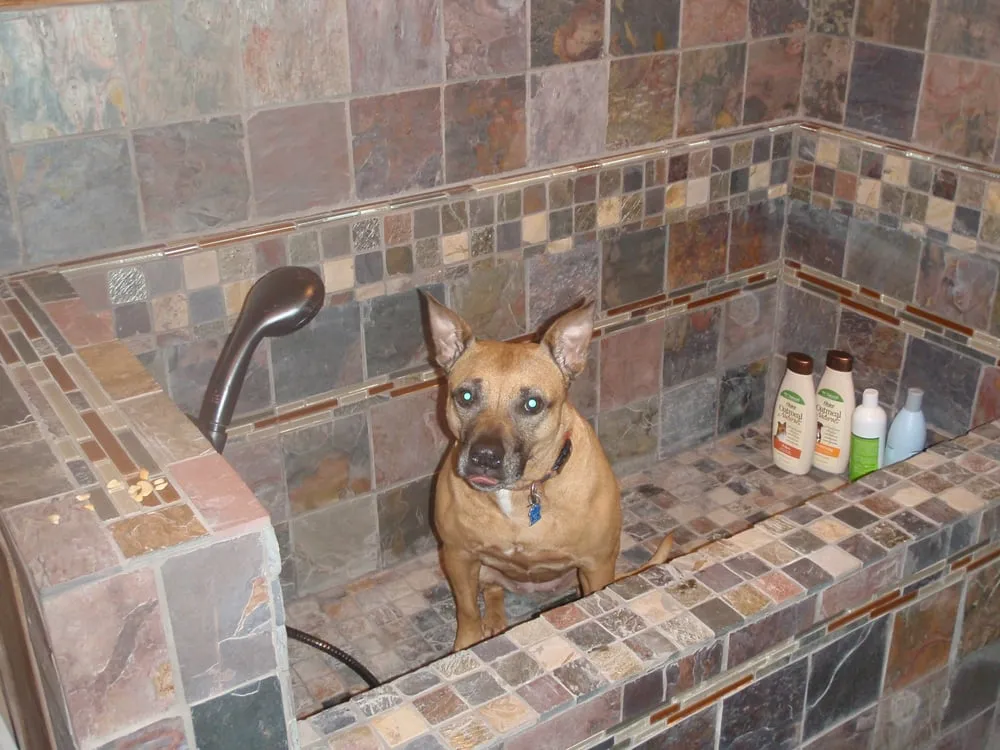 Slide of All Clear Sewer Works