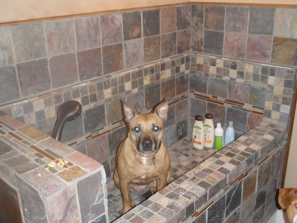 Slide of All Clear Sewer Works