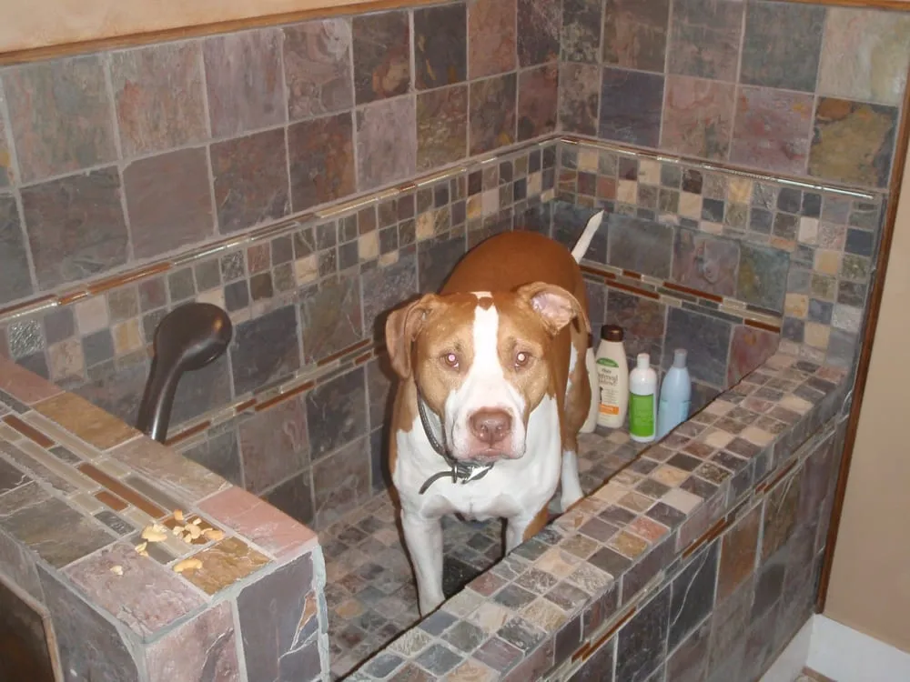 Slide of All Clear Sewer Works