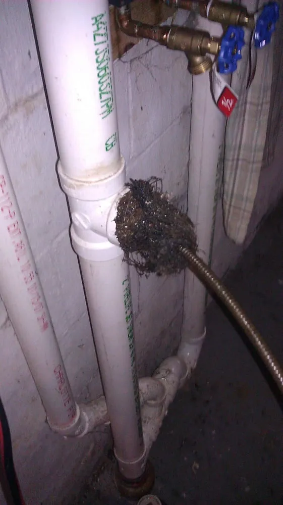 Slide of All Complete Plumbing