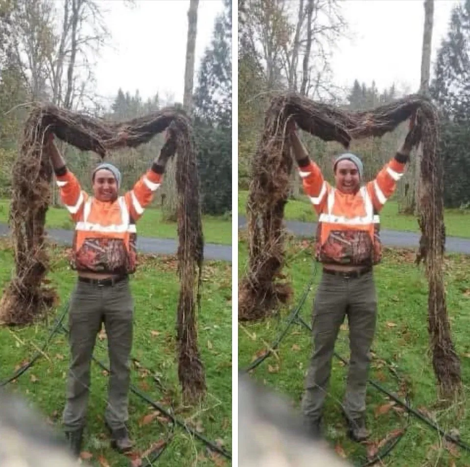 Slide of All County Rooter