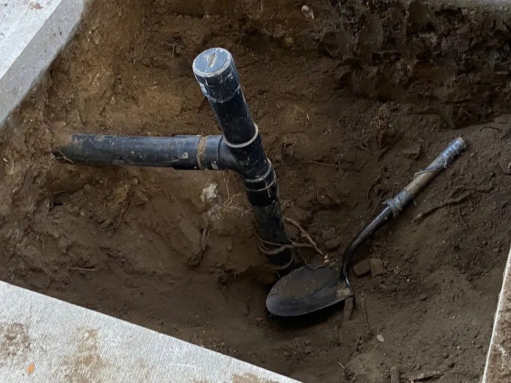 Slide of All Day Drains