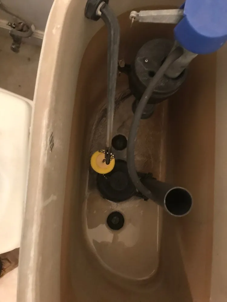 Trusted drain cleaning service in Virginia Beach, VA - All Day Plumbing