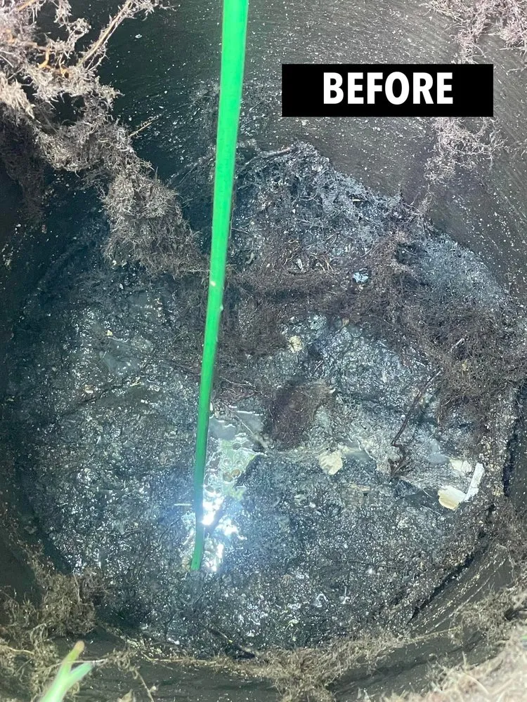 Slide of All Drain Services