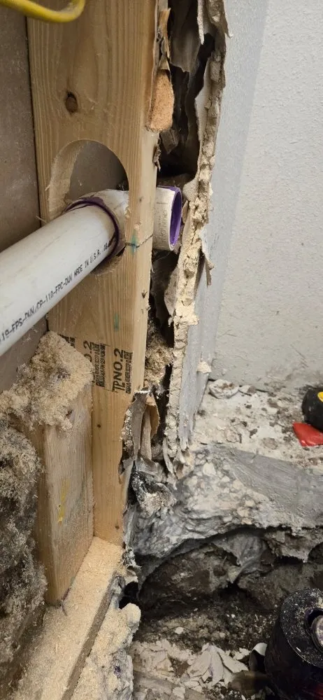 Top-rated drain cleaning for homes in Spring Hill, FL by All-En All Services