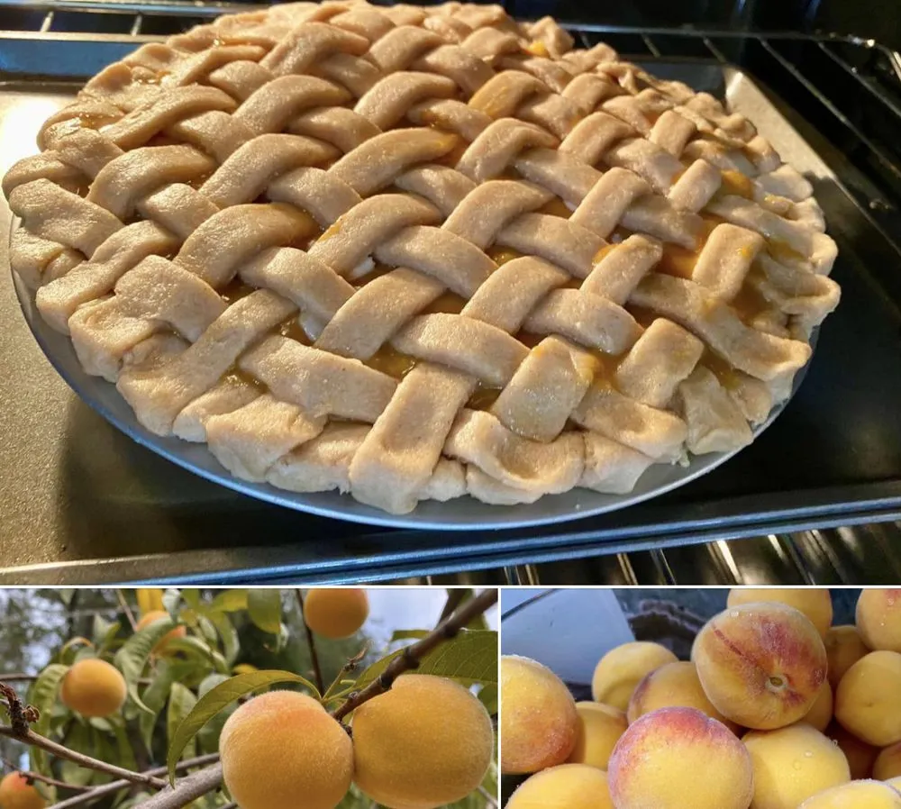 Slide of All Good Plumbing and Drains