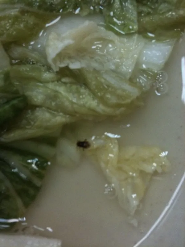 Slide of All in a Day Plumbing