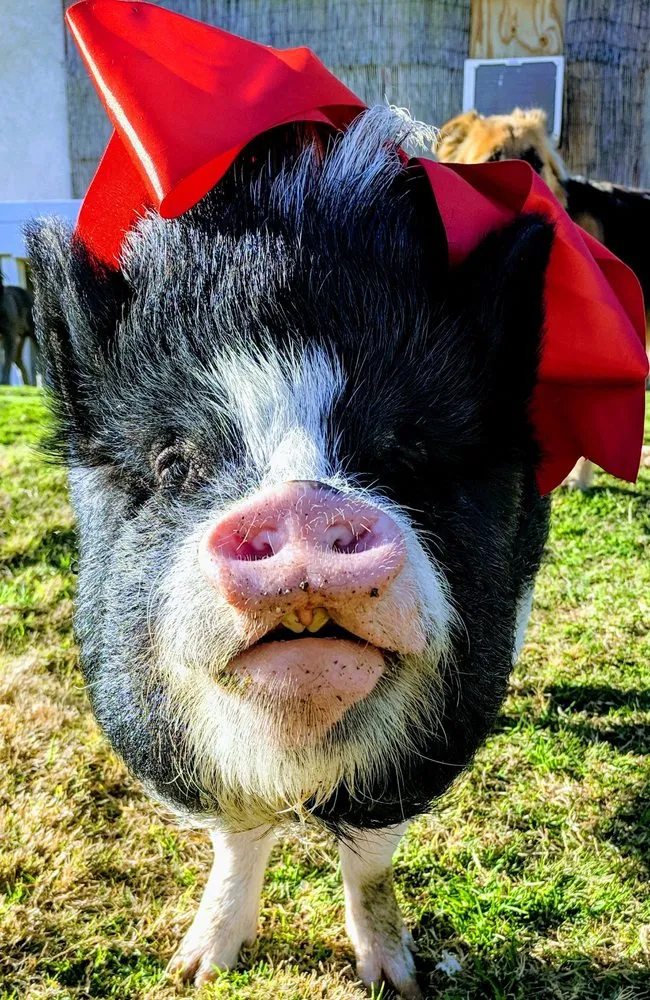 Slide of All in One Plumbing and Drain Cleaning