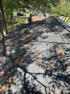 All in One Property Solutions Logo