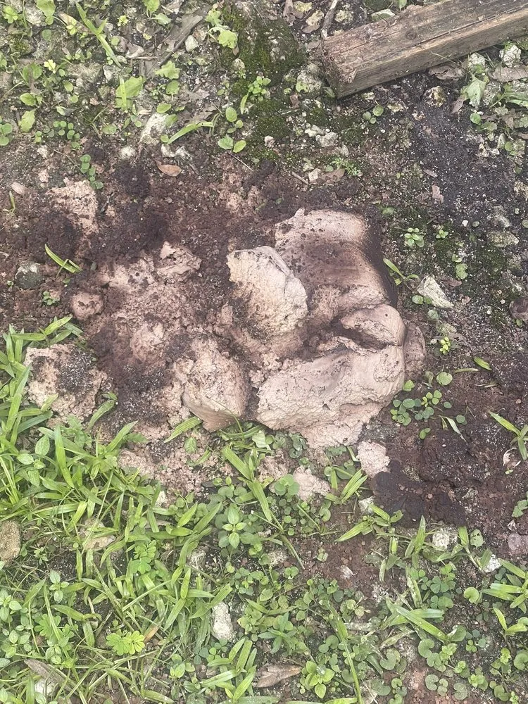 Slide of All in One Septic