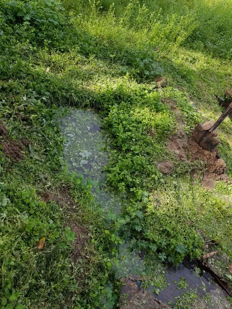 Slide of All in One Septic