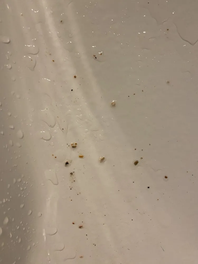 Slide of All in the Family Plumbing