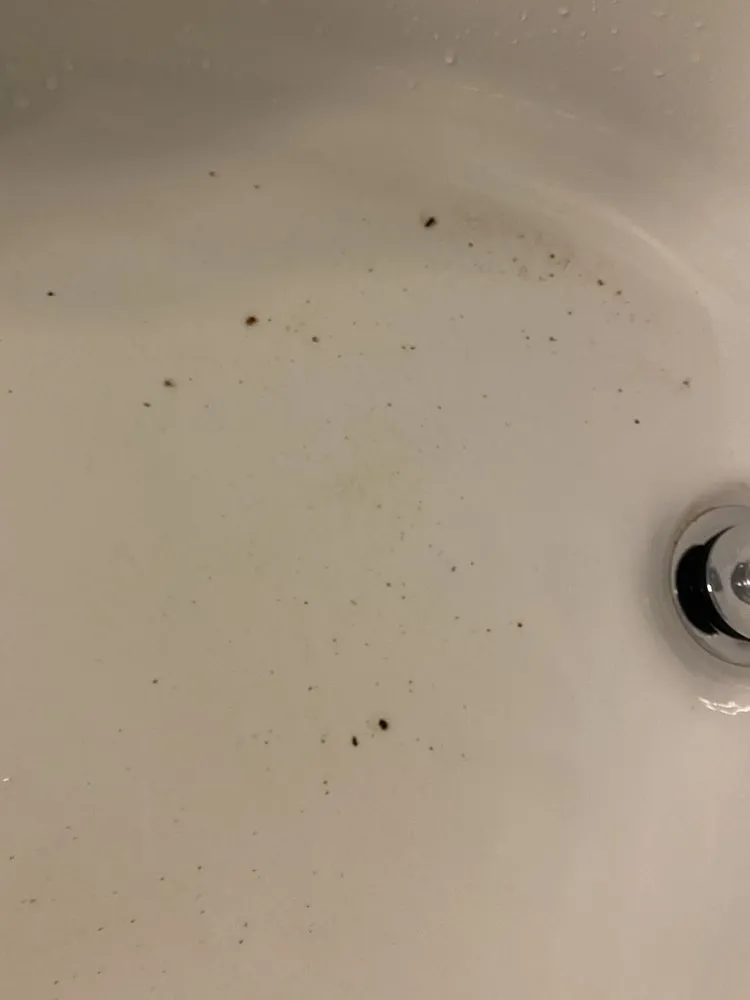 Slide of All in the Family Plumbing