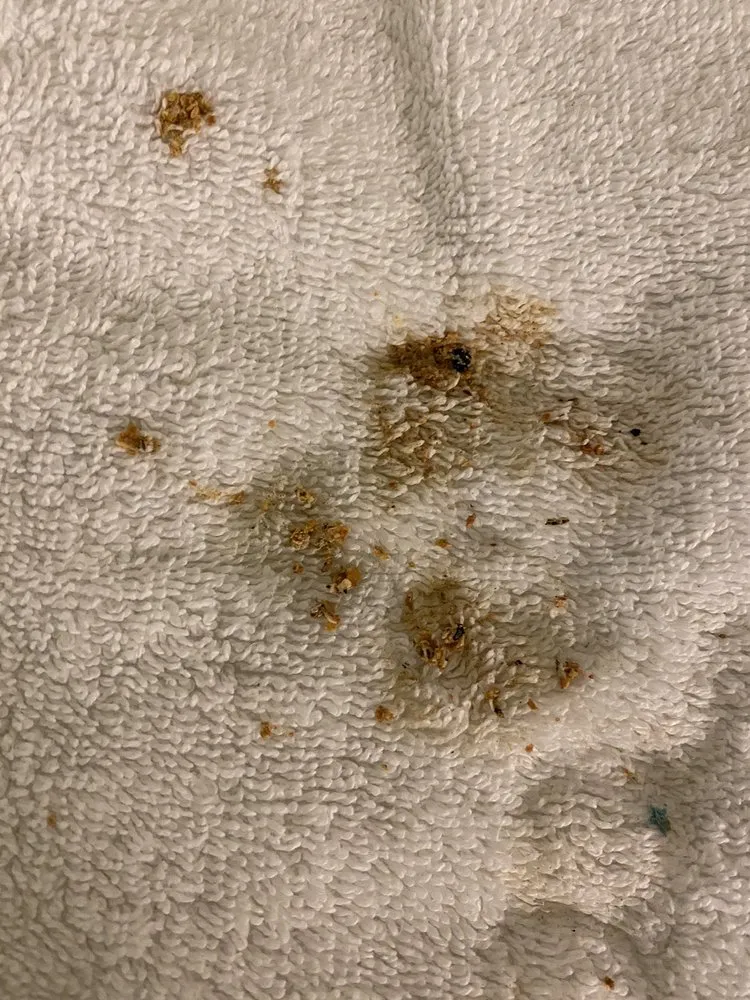 Slide of All in the Family Plumbing