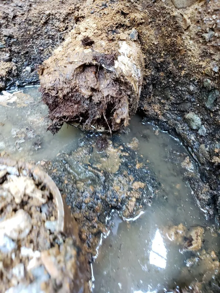 Slide of All Plumbing & Drain Solutions