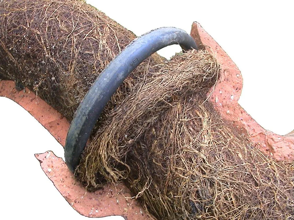 Slide of All Plumbing & Heating Service