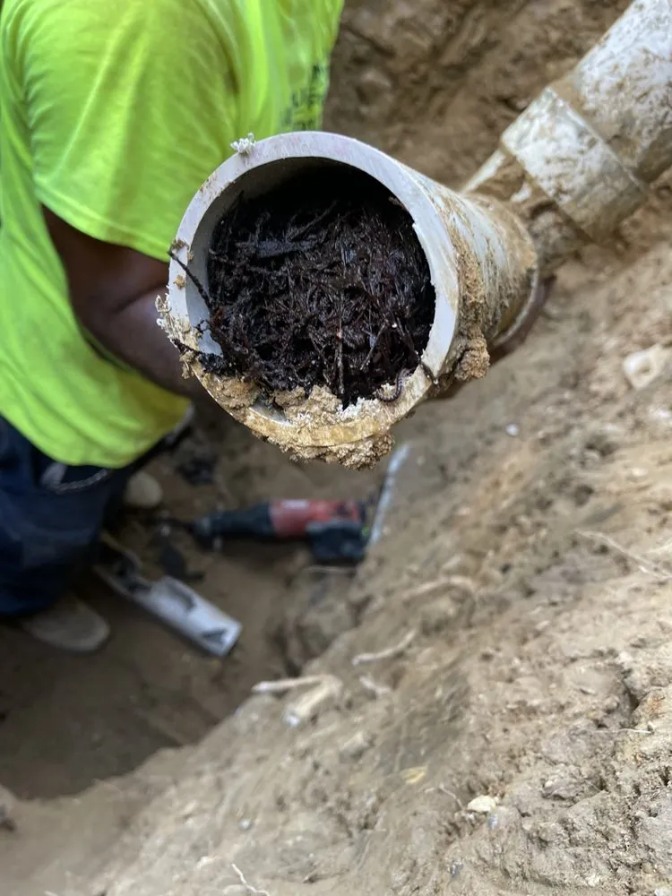 Slide of All Plumbing