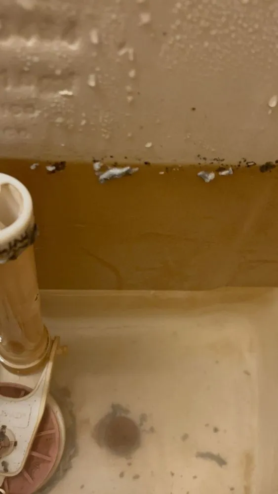 Slide of All Points Plumbing