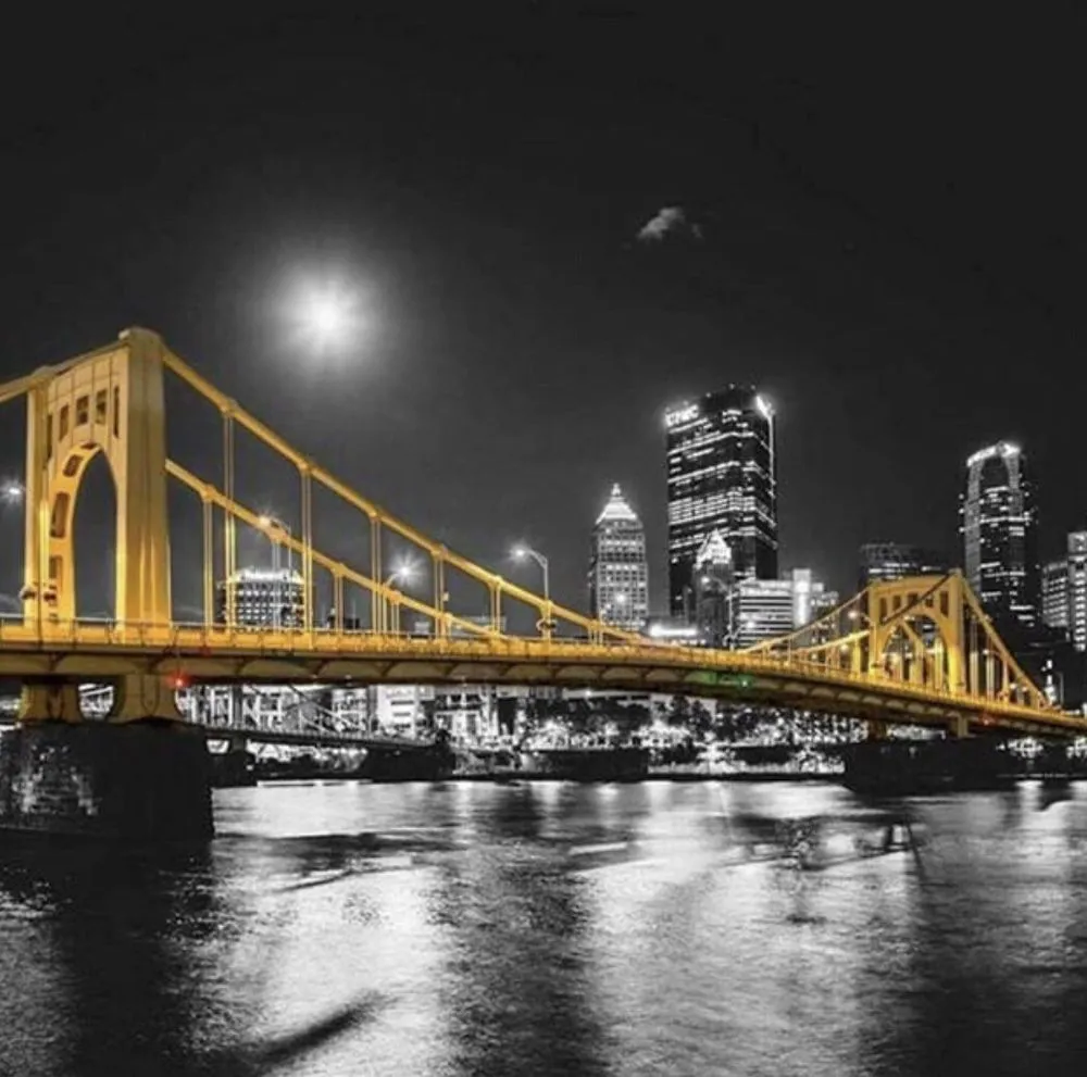 Slide of All-Pro Pittsburgh Backflow