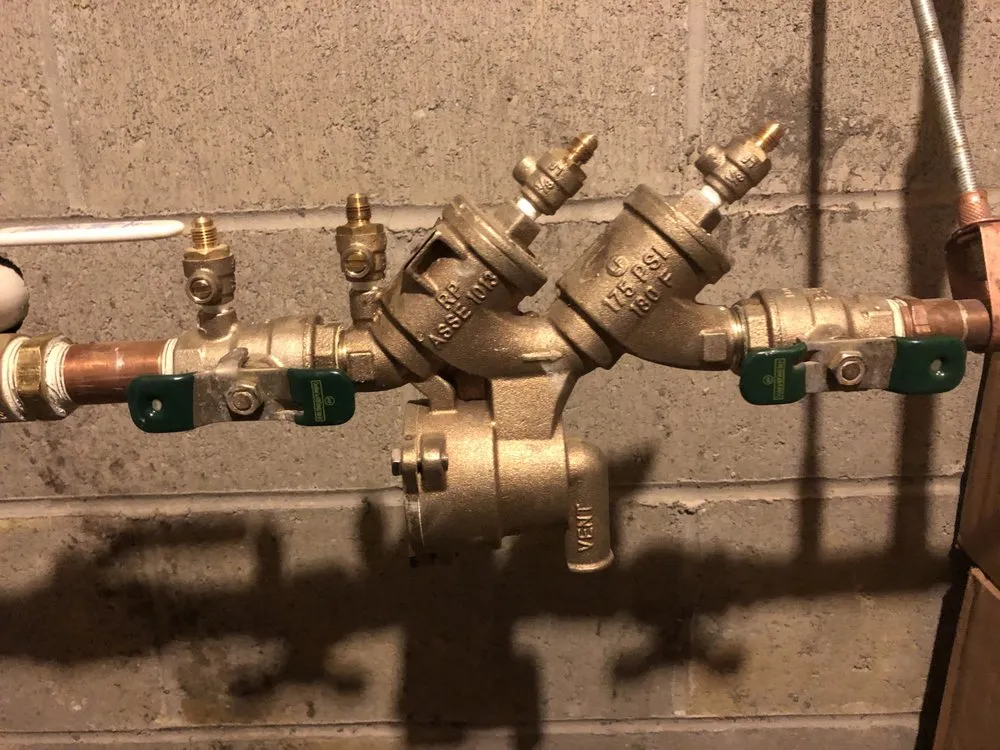 Slide of All-Pro Pittsburgh Backflow