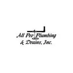 Slide of All Pro Plumbing & Drains