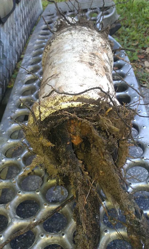 Slide of All Pro Plumbing