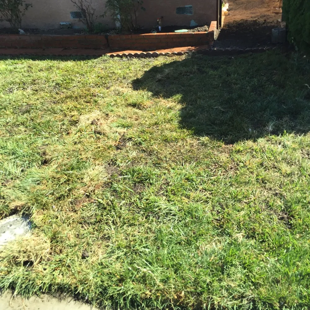 Slide of All Pro Repipes